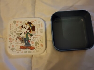 Mickey Mouse plastic dish