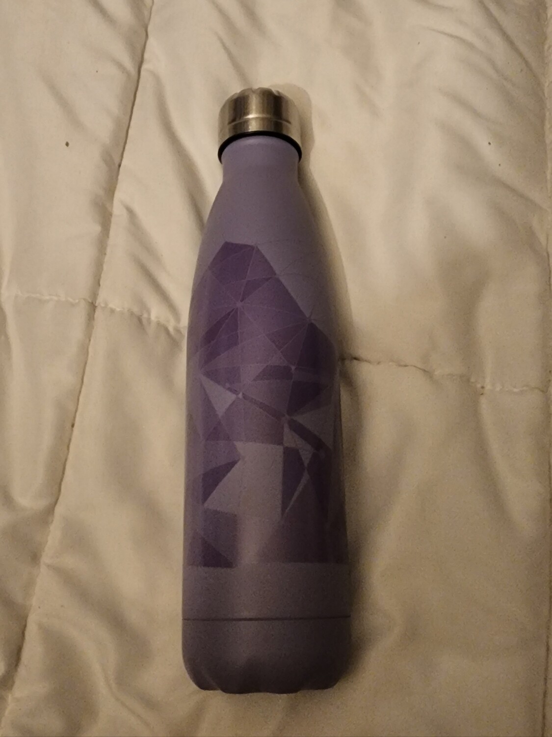 Purple Wall metal water bottle