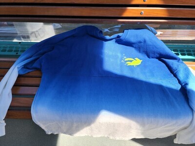 XXL Art of Animation Spirit Jersey