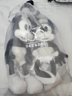 Disney Decades Steamboat Mickey &amp; Minnie plush set