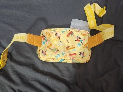 Play In The Parks crossbody &amp; fannypack bag