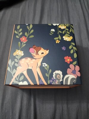 Bambi Dooney &amp; Bourke Magicband