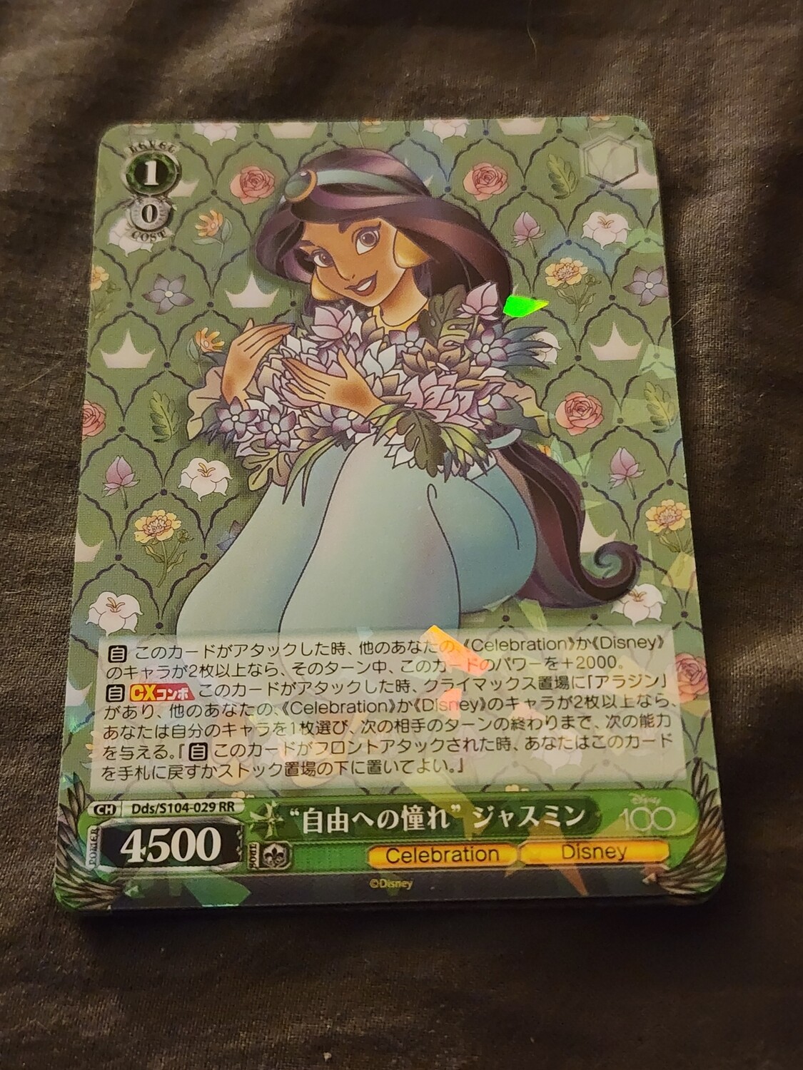 Jasmine Holo
