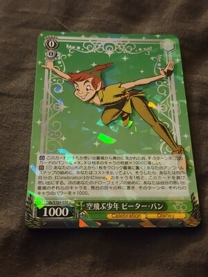 Peter Pan Holo