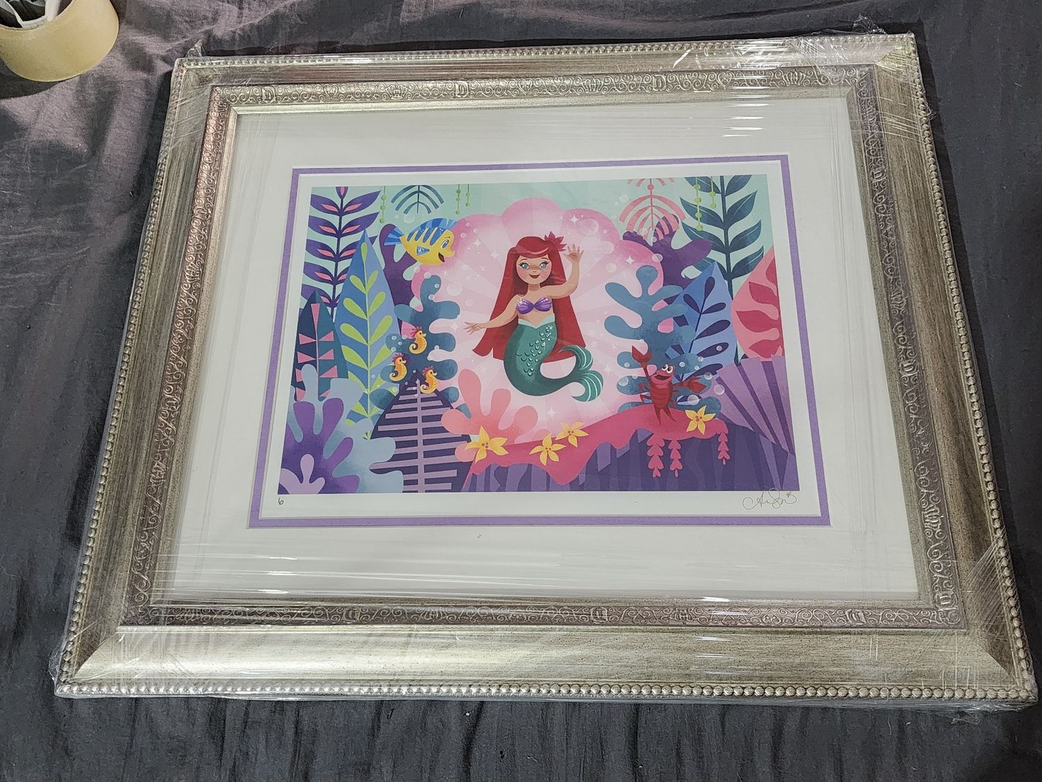 Ann Shen A Small World Under The Sea framed print 6/95