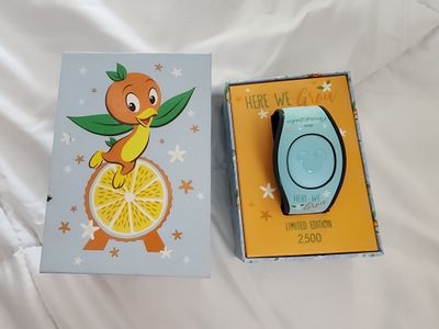 Orange Bird Flower &amp; Garden magicband2