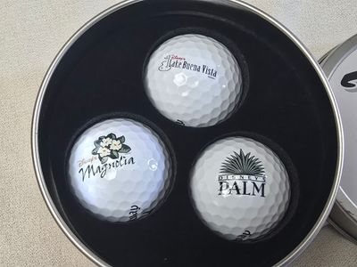 Walt Disney World golf ball set