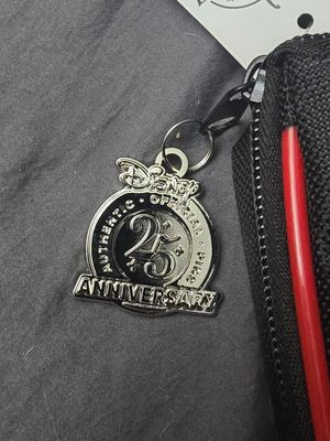Disney Parks Pin Trading pin bag