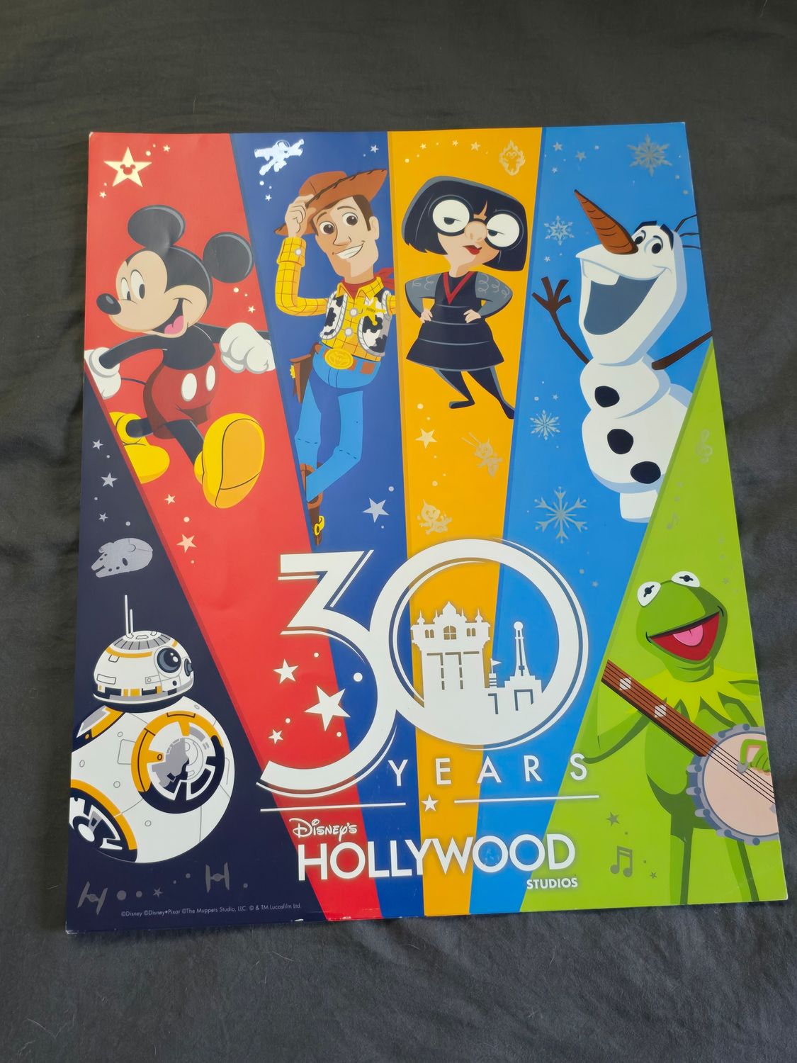 Hollywood Studios 30th commemorative poster