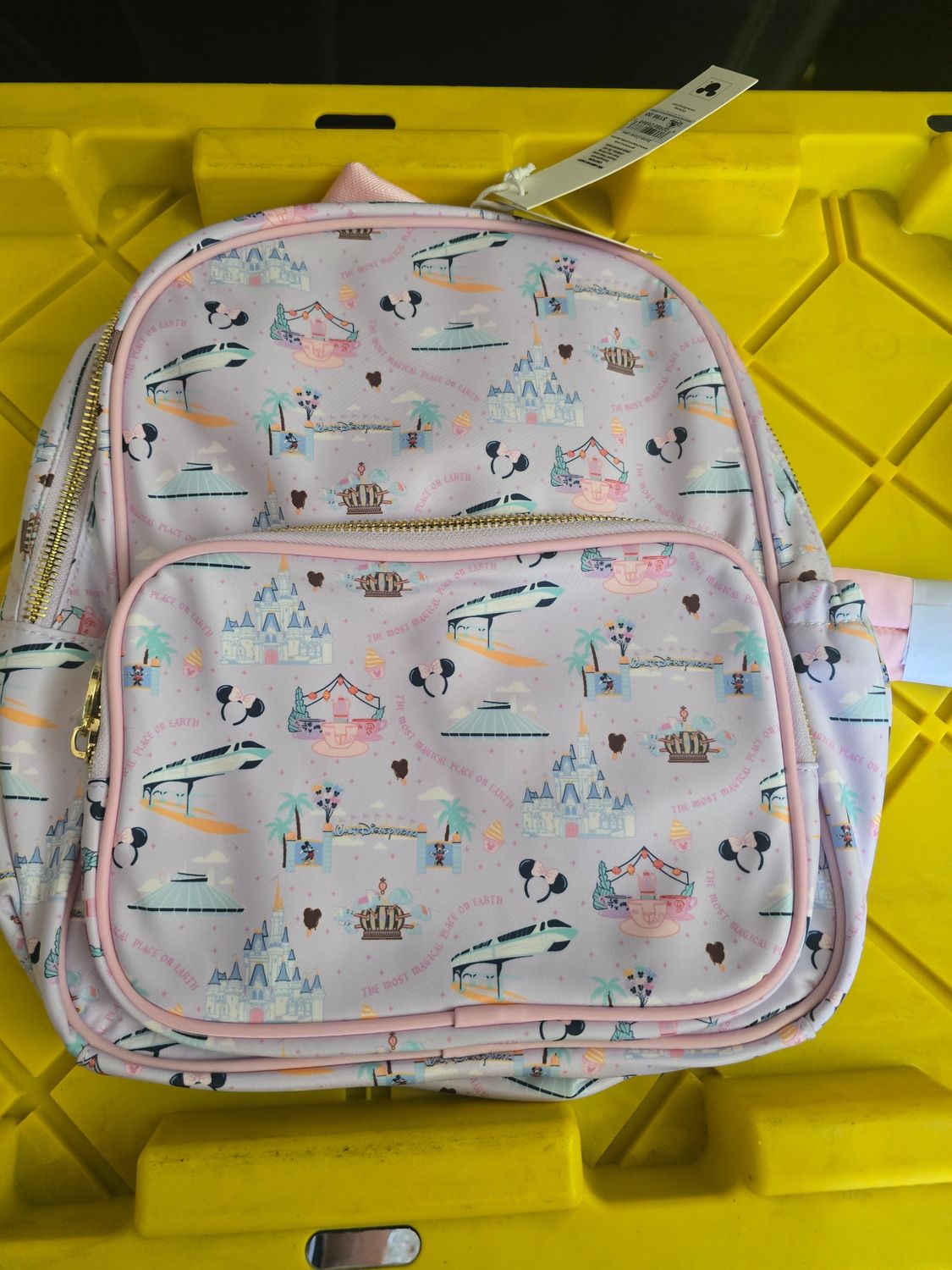 Stoney Clover Walt Disney World backpack