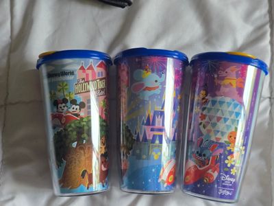 Joey Chou WDW Passholder cu