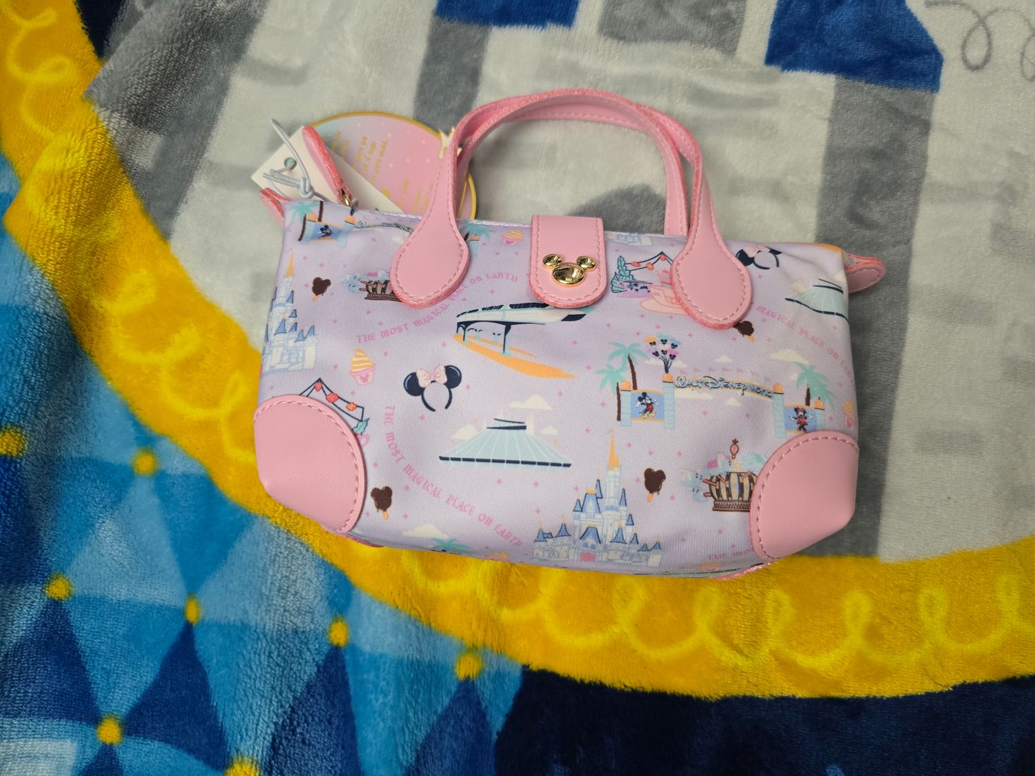 Stoney Clover Walt Disney World small crossbody