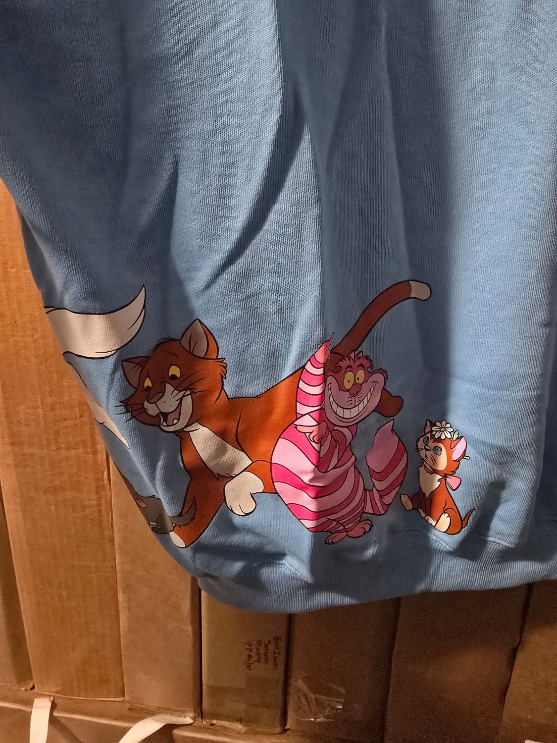 Disney Cats pullover small