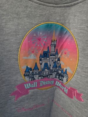 Stoney Clover Walt Disney World pullover sweater small