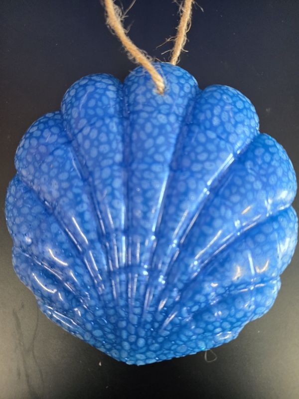 Freshie - Large Shell