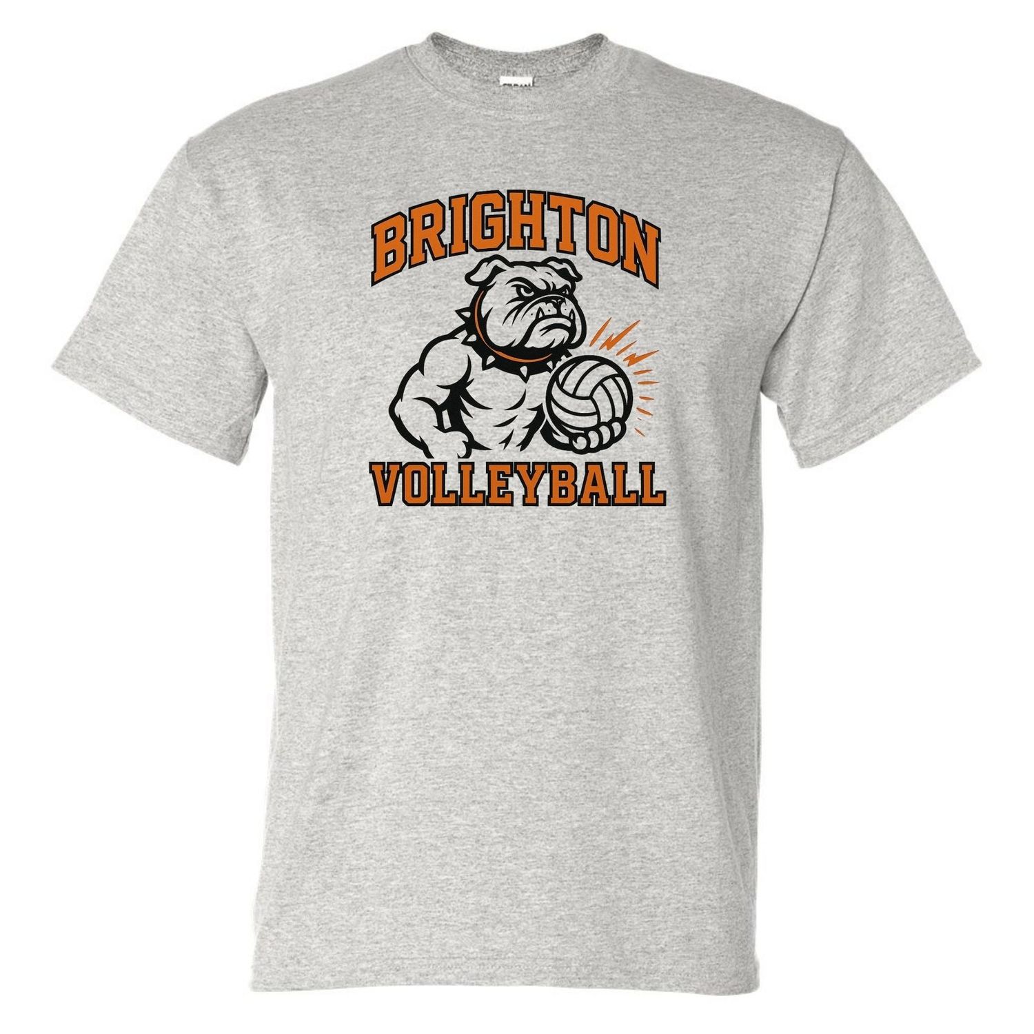Brighton Volleyball BV05 Basic Short Sleeve Tee, Color: Ash, Size: 2X-Large