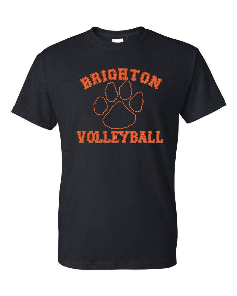 Brighton Volleyball Basic Tee, Size: Adult 2X-Large