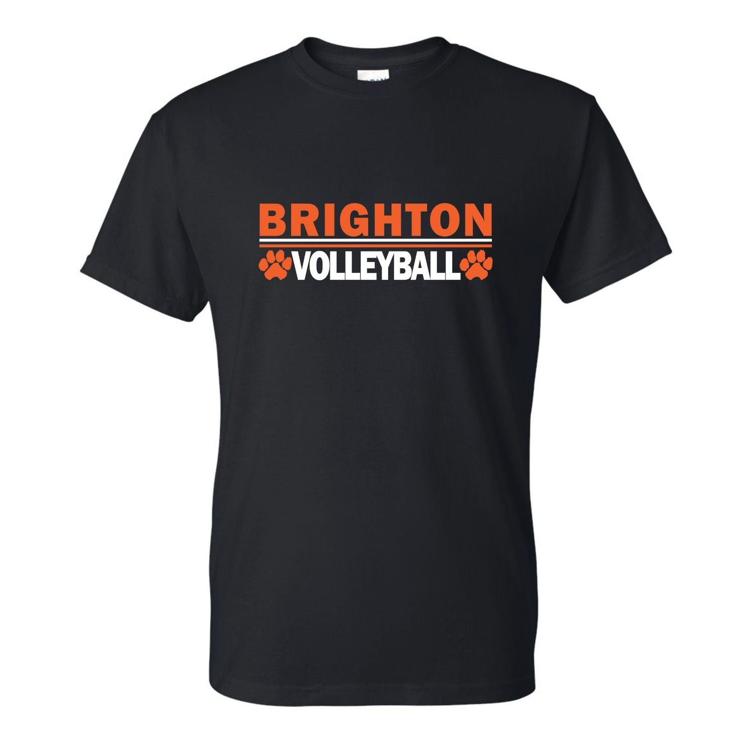 Brighton Volleyball Basic Tee BV1, Color: Black, Size: Adult 2X-Large