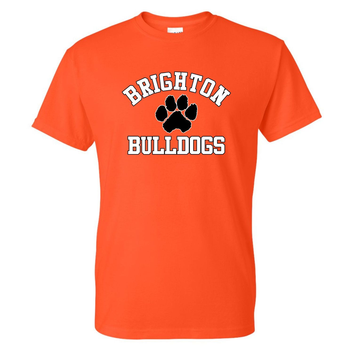 Brighton Bulldogs Basic Tee B216