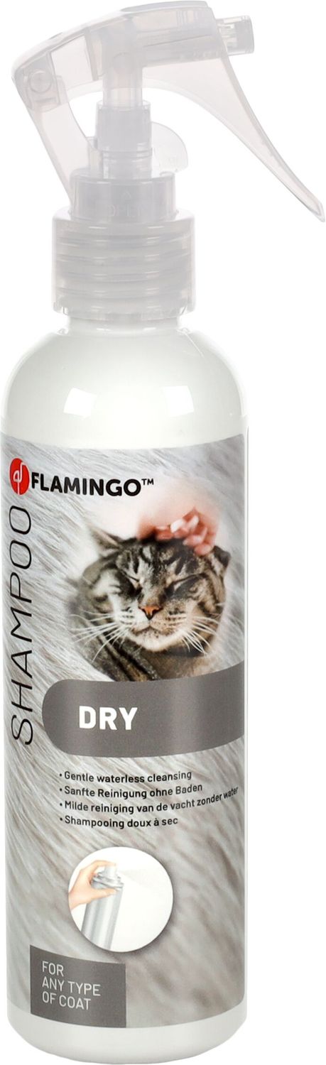 ​Droogshampoo Aloë Vera – 200 ml