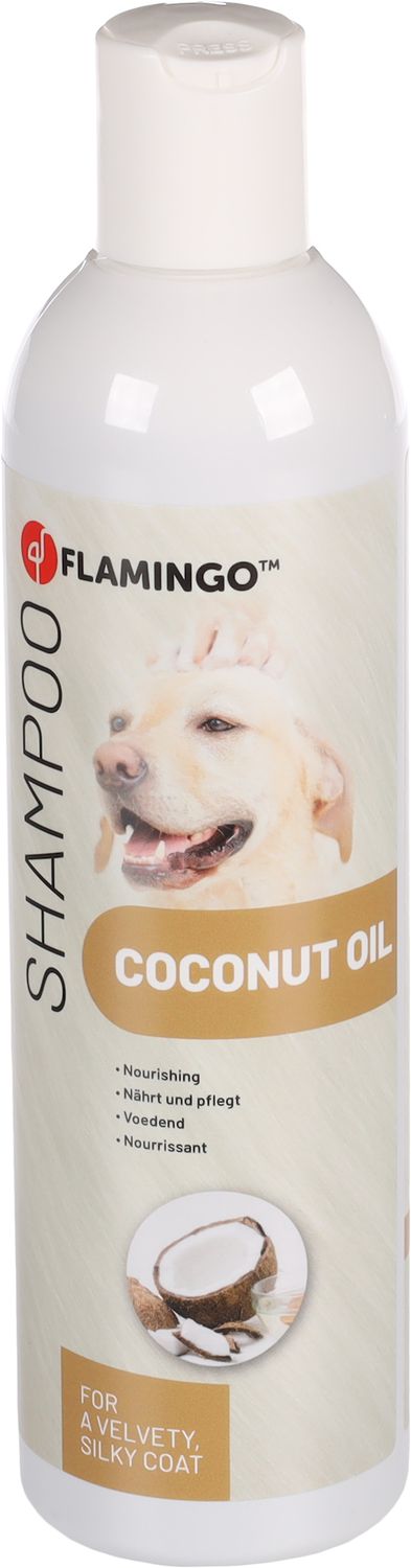 Shampoo Kokos