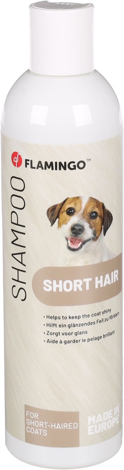 Shampoo Avocado Kortharige Rassen