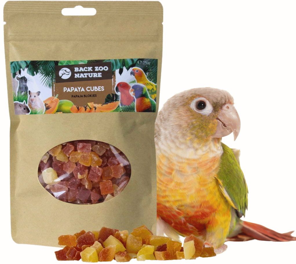 Back Zoo Nature Papaya Blokjes 50 g – Natuurlijke Fruithap voor Vogels en Knaagdieren