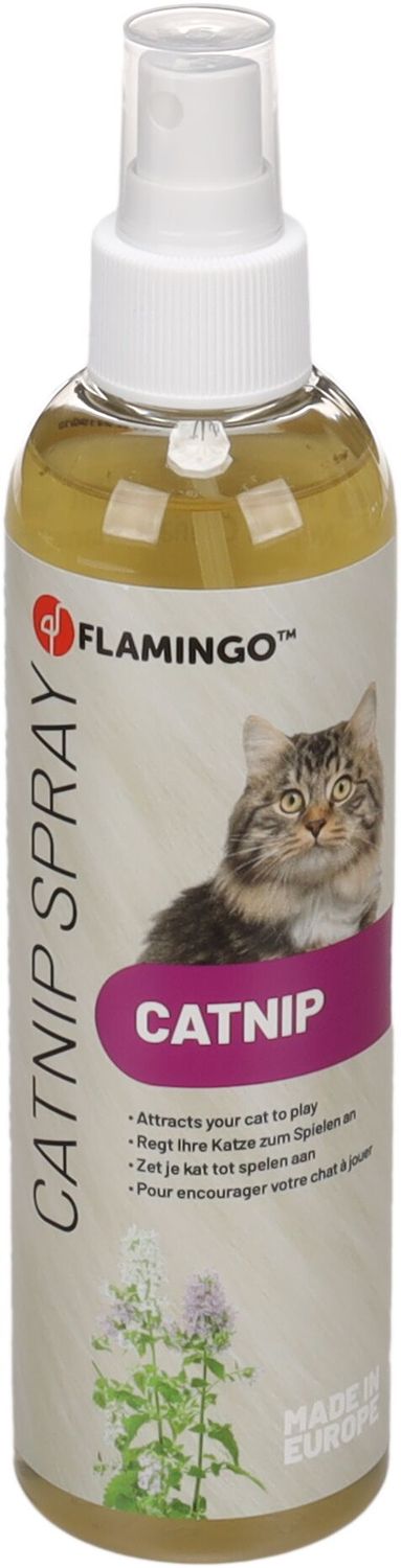 Lokstof Snif Catnip Oranje