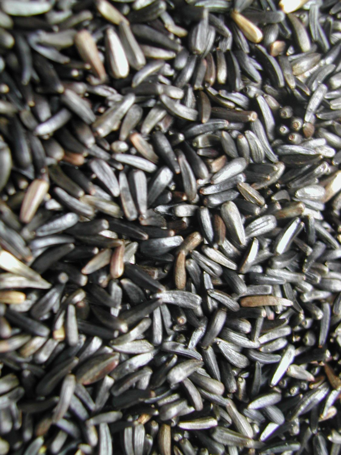 Nigerzaad 1KG