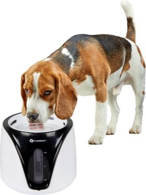 Adriana Drinkfontein Wit &amp; Zwart 2 Liter voor Katten en Honden