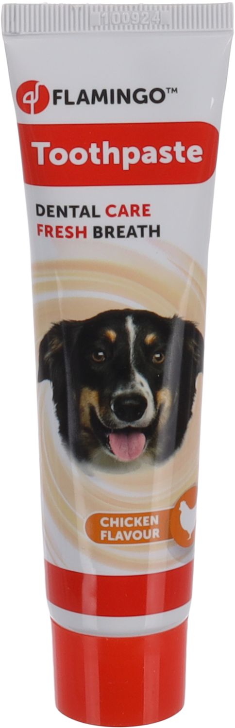 Dafra Tandpasta voor Honden Kippensmaak 85 g