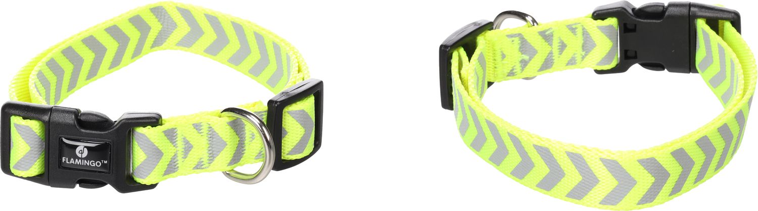 Flamingo Hondenhalsband Fergu Fluo GeeL