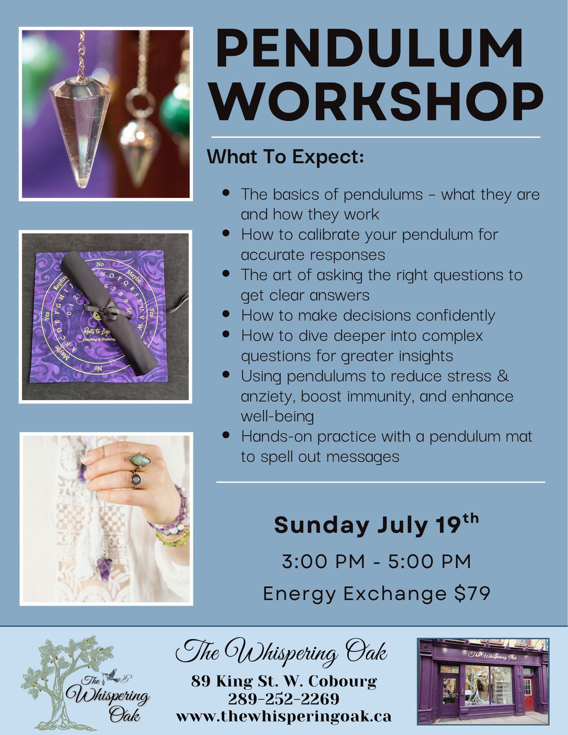 Pendulum Workshop