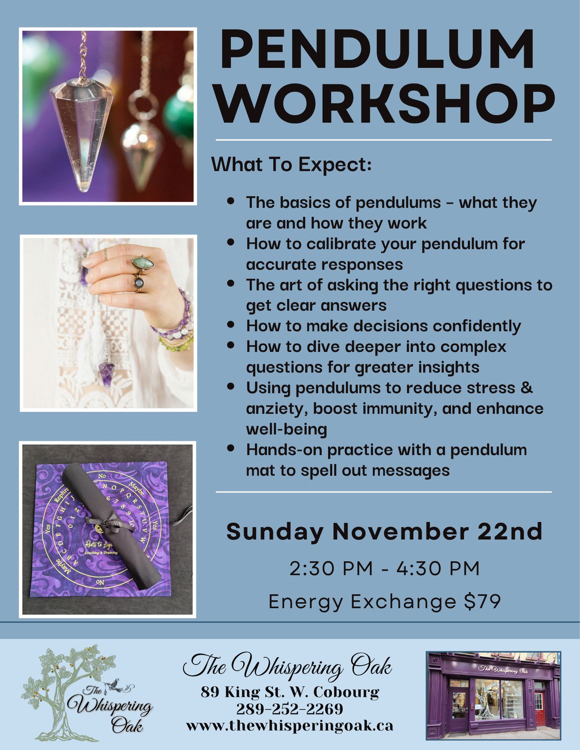 Pendulum Workshop