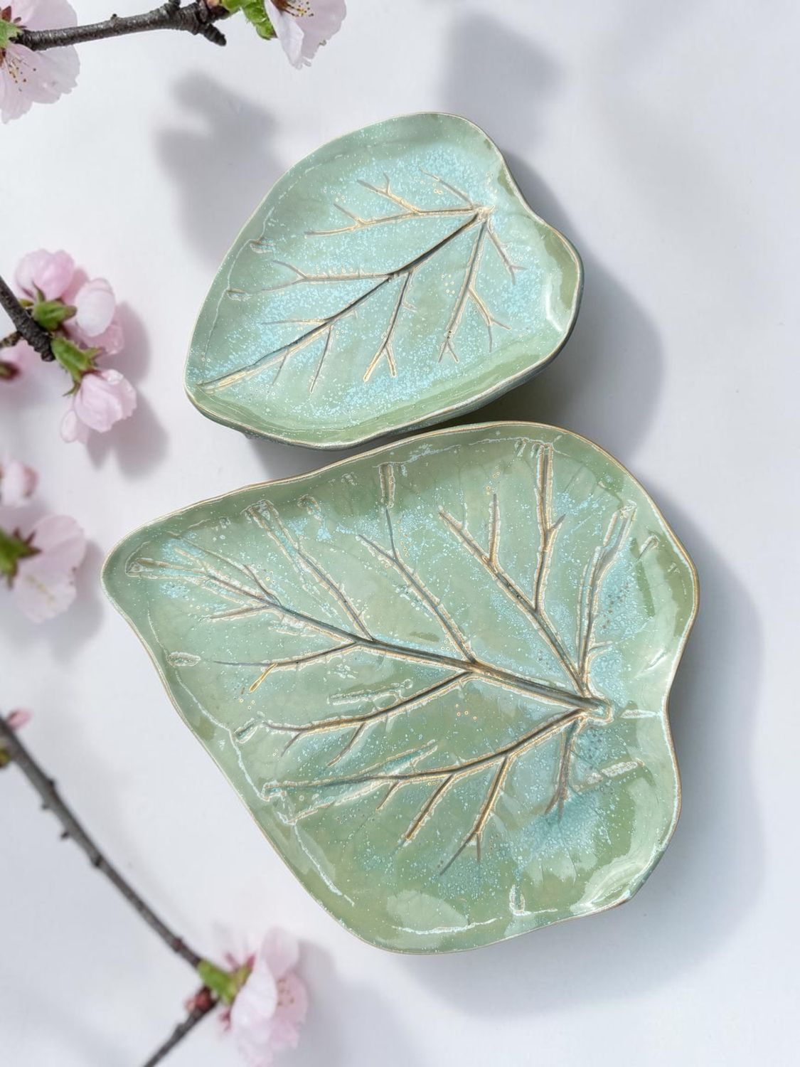 Leaves