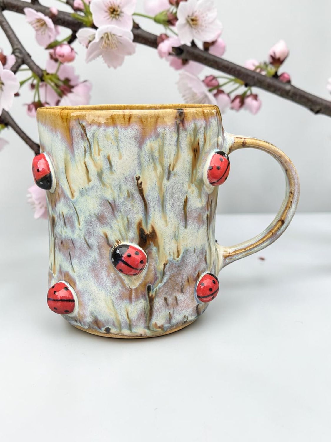 Ladybug