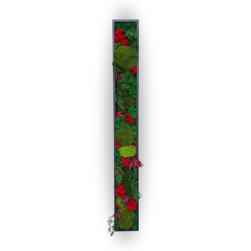 Cadre SEQUOIA Rouge