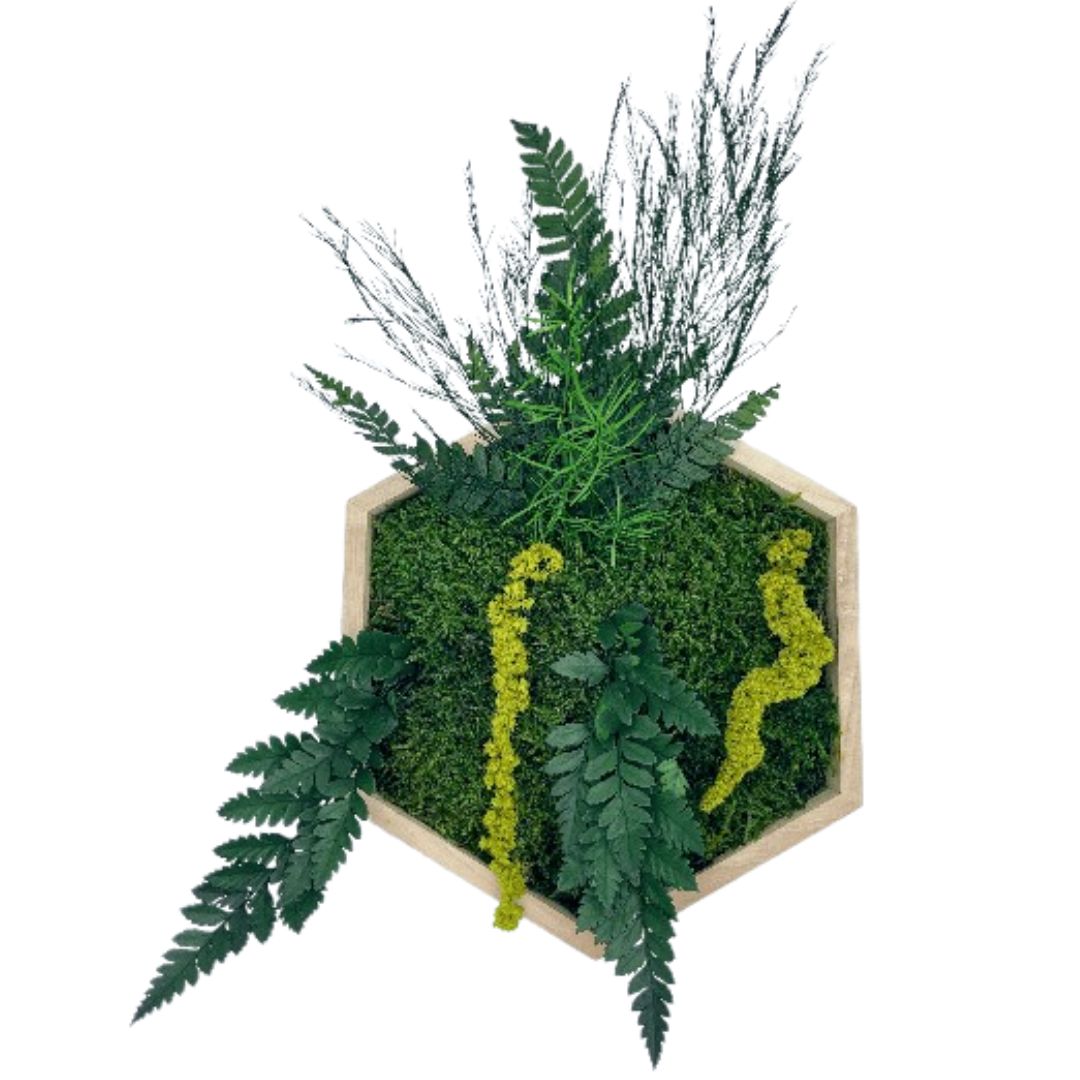 Cadre Hexagone Forêt