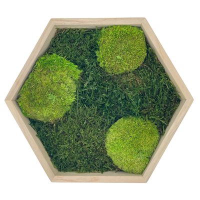 Cadre Hexagone Mousse plate et boule