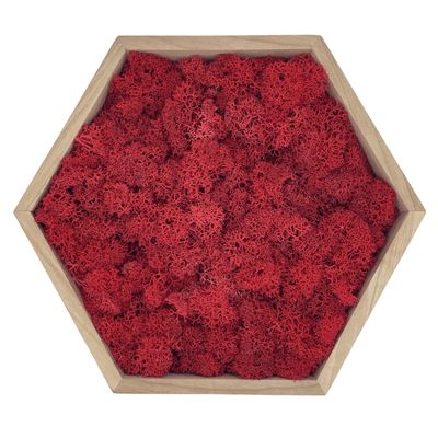 Cdrae Hexagone Rouge