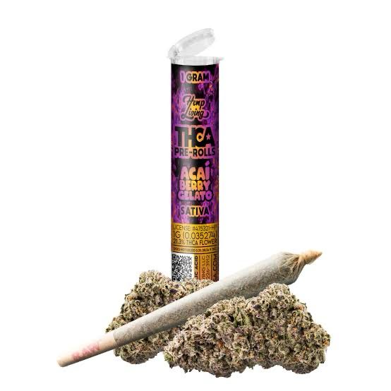 Hemp Living: 1gram THCA Pre-Roll - Açaí Berry Gelato SATIVA