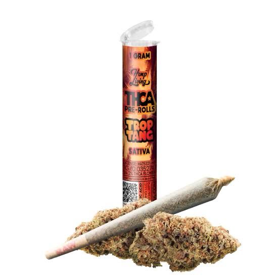 Hemp Living: 1gram THCA Pre-Roll - Trip Tang SATIVA