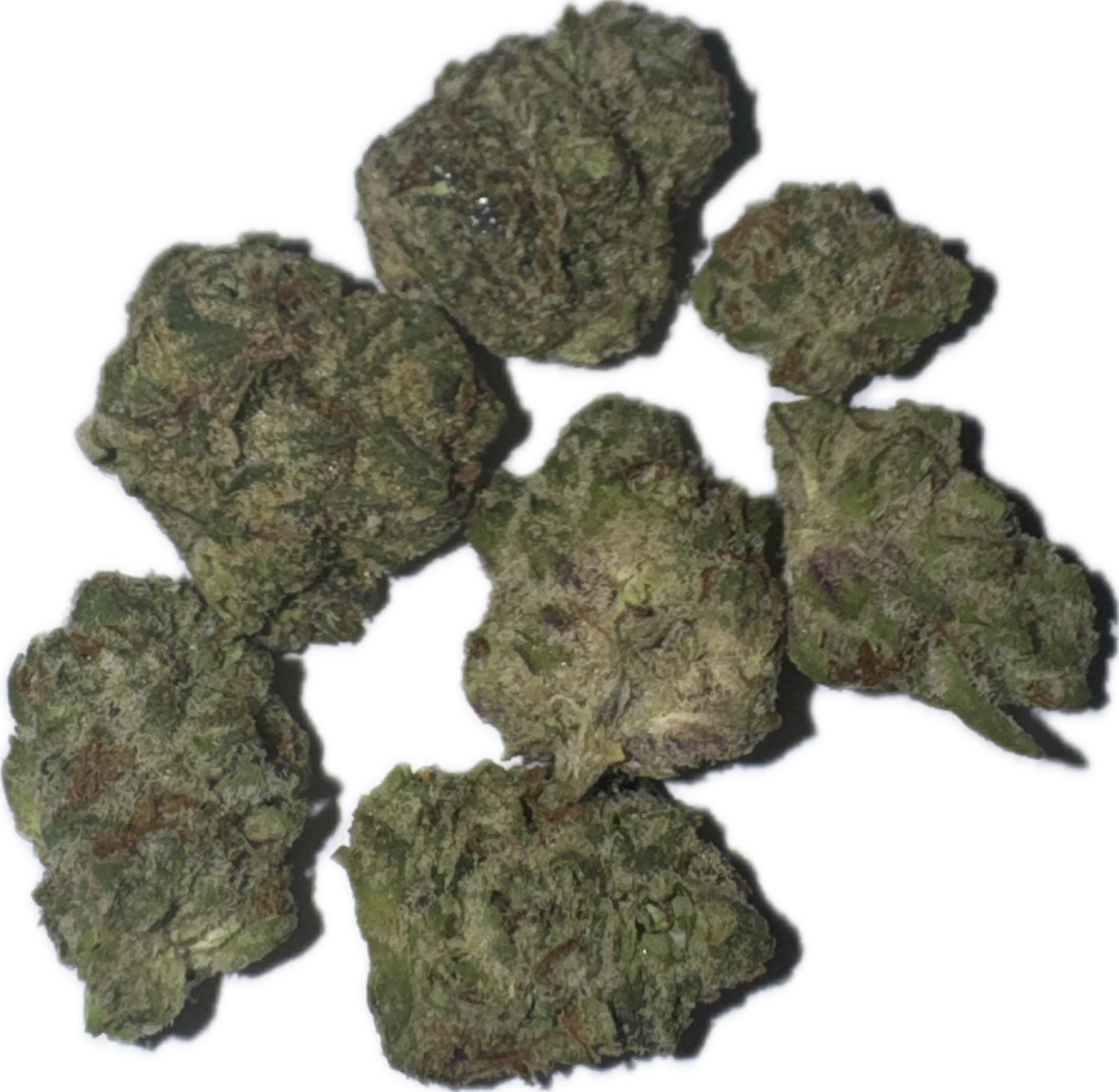 FREEZO: 16g Flower (smalls) - Oreoz INDICA