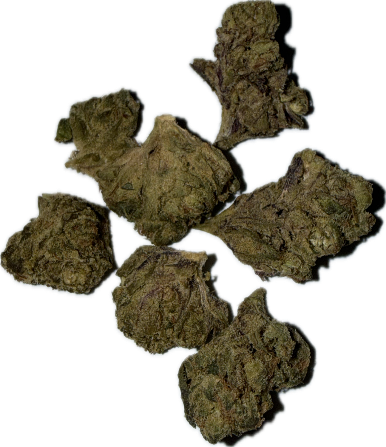 FREEZO: 16g Flower (smalls) Uncoated - Sugar Tarts SATIVA/HYBRID