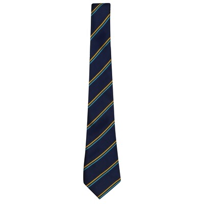 St Ninian's Primary School tie