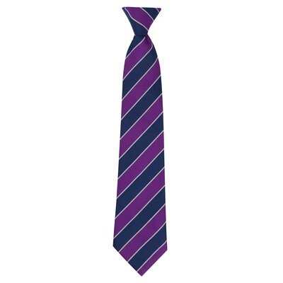 Craigmarloch School tie
