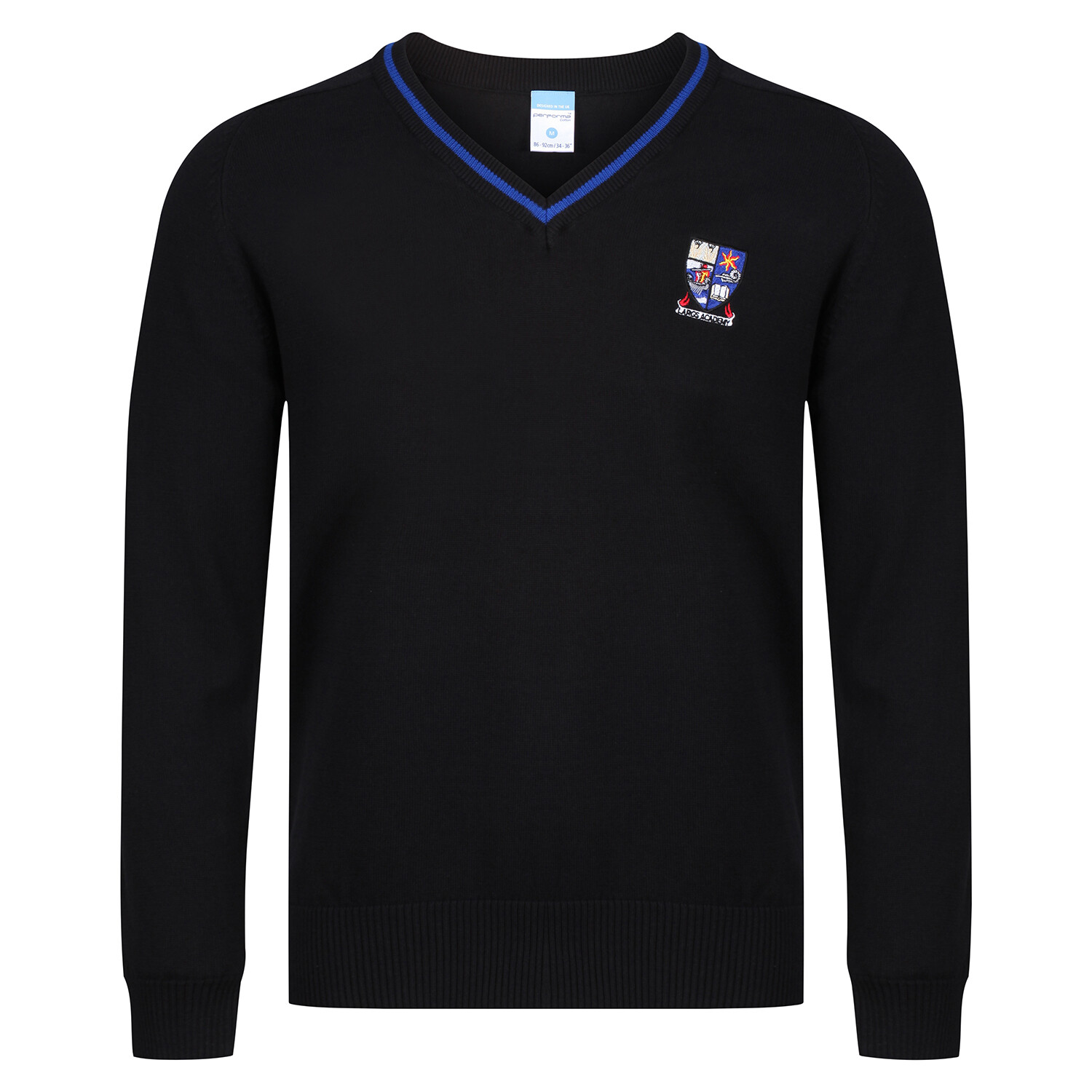 Largs Academy Knitted V-neck with stripe