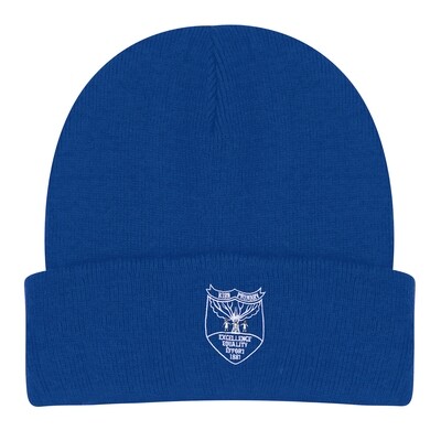 Kirn Primary Wooly Hat