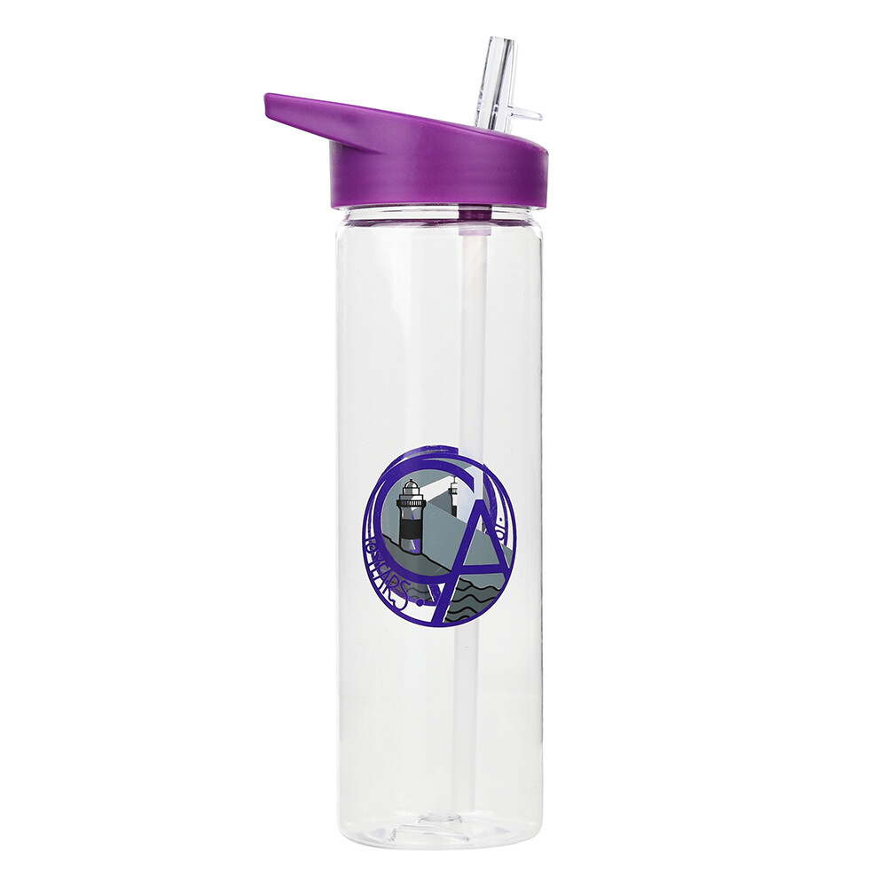 Clydeview Academy '10th Anniversay' Water Bottle with straw
