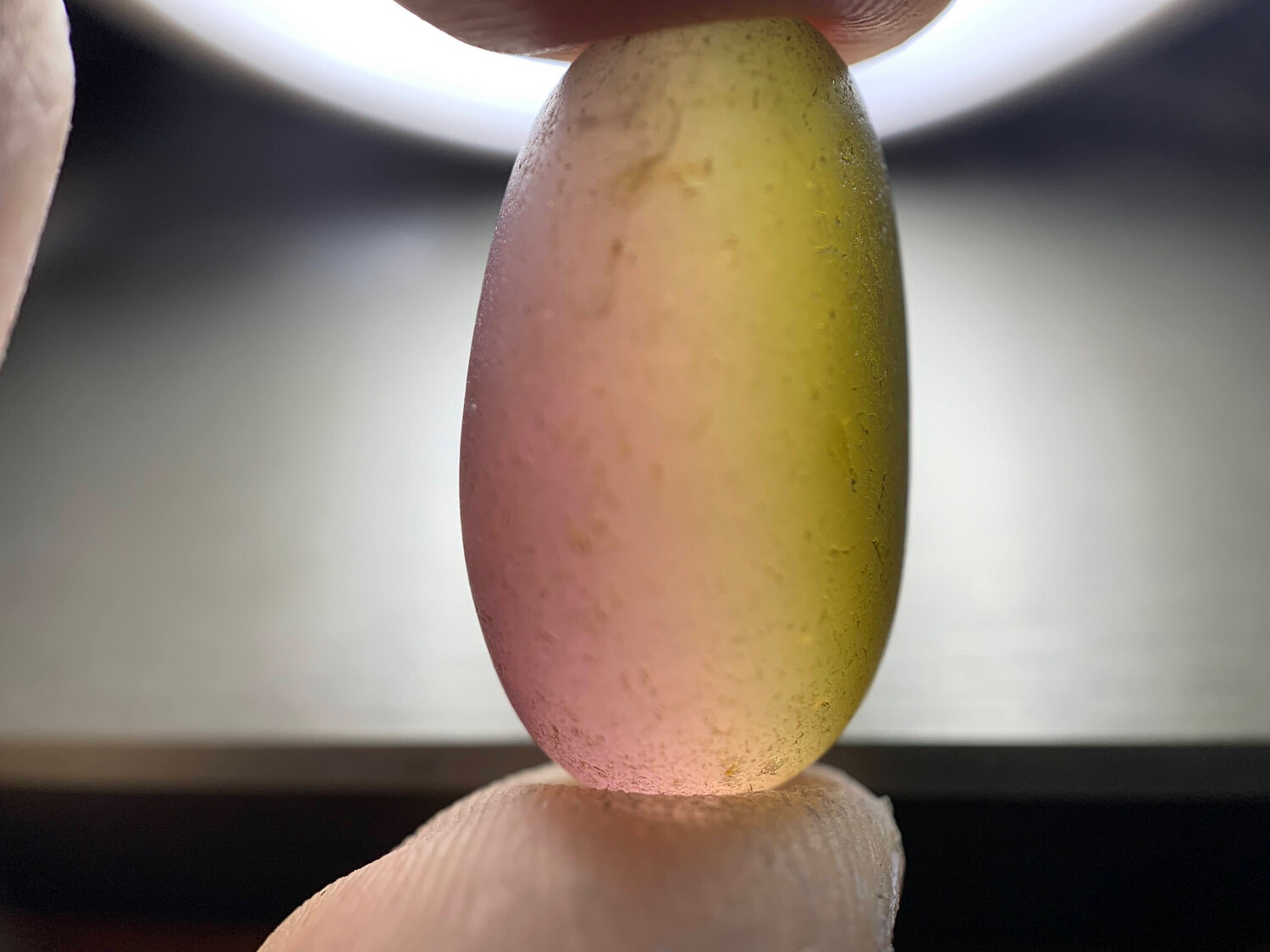 ᴬᵀᵞᴾᴵᶜᴬᴸ TRICHROIC TOURMALINE 18.74ct